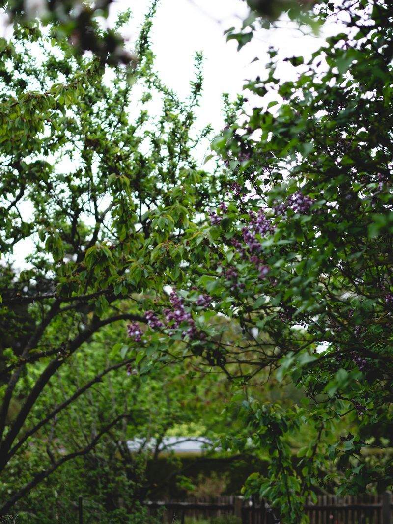 Achtsam Leben GmbH - Image 14